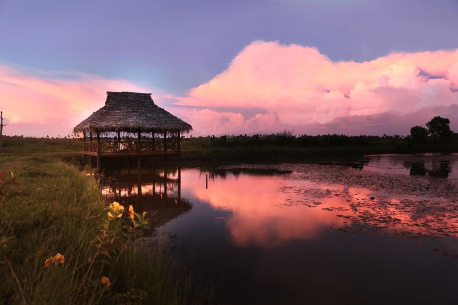 Kerala Honeymoon Tour