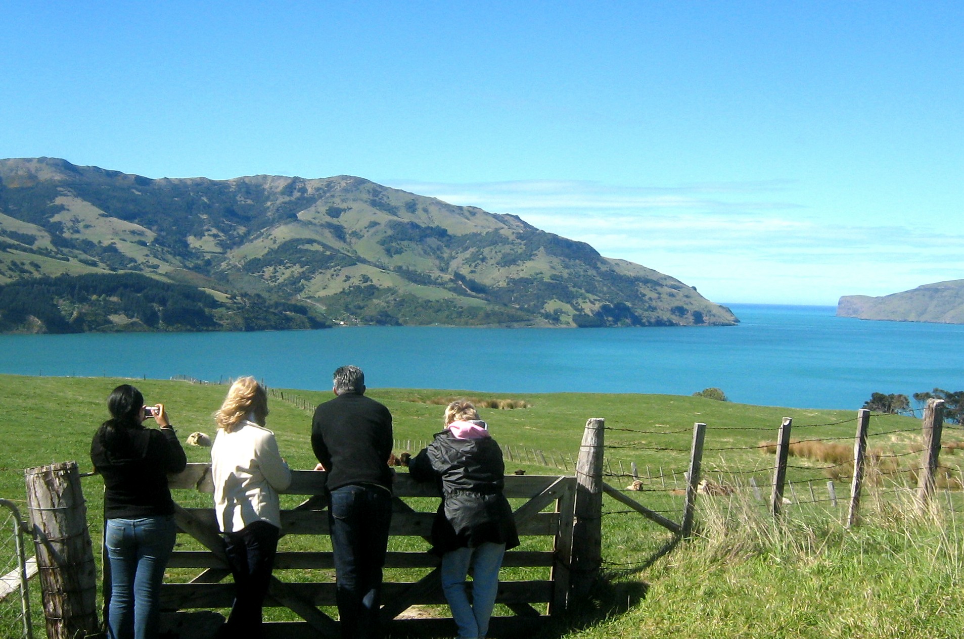 Self-Drive - Seven Colors Of New Zealand